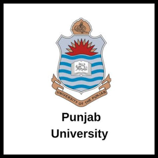 Multiwood Client "Punjab University"