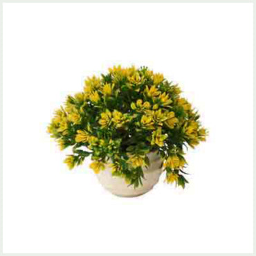 Light Weight Cute Flower Pot